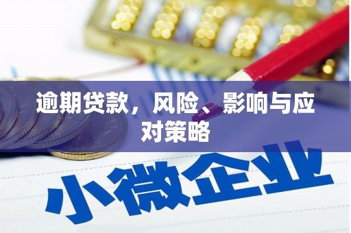白玉逾期贷款，风险、影响与应对策略
