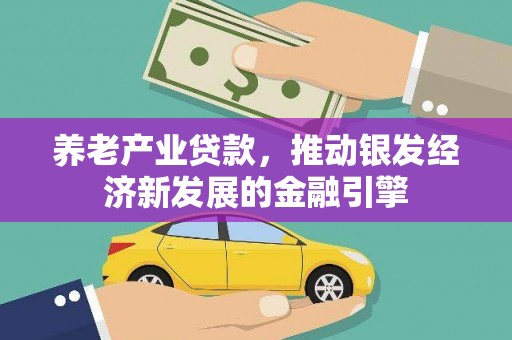 白玉养老产业贷款，推动银发经济新发展的金融引擎