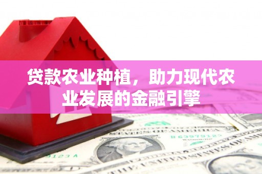 白玉贷款农业种植，助力现代农业发展的金融引擎