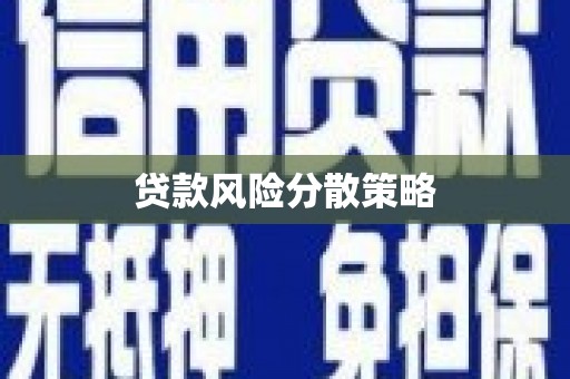 白玉贷款风险分散策略