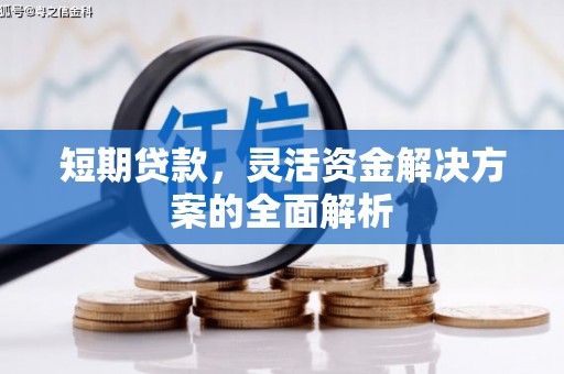 白玉短期贷款，灵活资金解决方案的全面解析