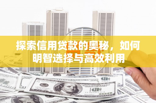 白玉探索信用贷款的奥秘，如何明智选择与高效利用