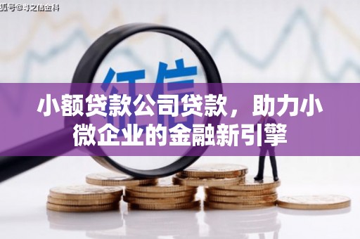 白玉小额贷款公司贷款，助力小微企业的金融新引擎