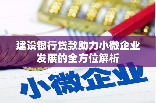 白玉建设银行贷款助力小微企业发展的全方位解析