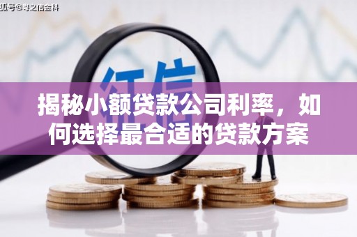 白玉揭秘小额贷款公司利率，如何选择最合适的贷款方案