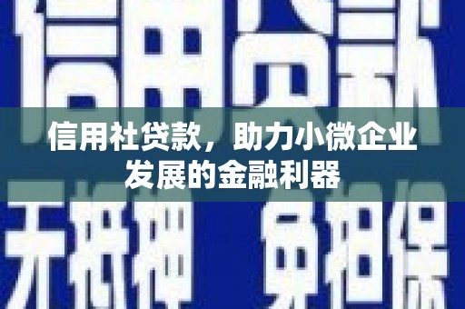 白玉信用社贷款，助力小微企业发展的金融利器
