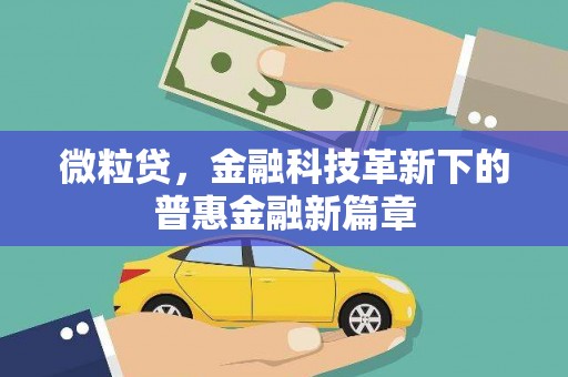 白玉微粒贷，金融科技革新下的普惠金融新篇章