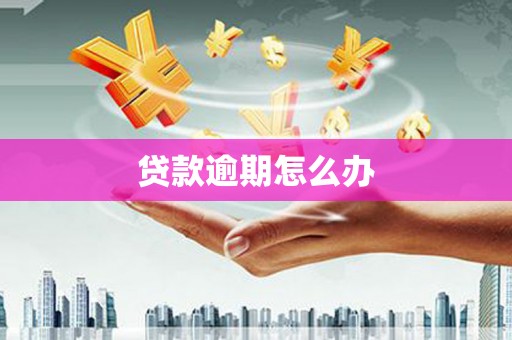 白玉贷款逾期怎么办