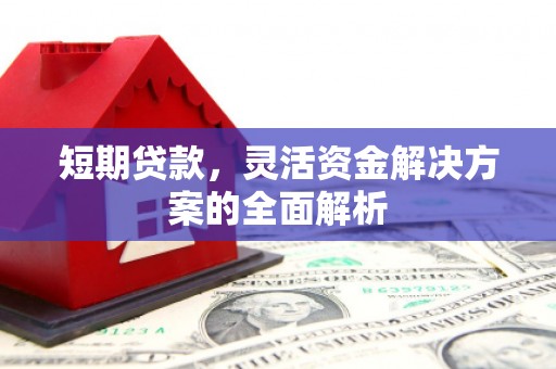 白玉短期贷款，灵活资金解决方案的全面解析