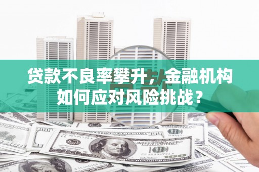 白玉贷款不良率攀升，金融机构如何应对风险挑战？