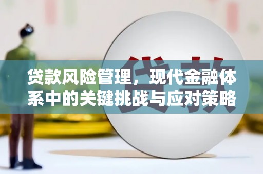 白玉贷款风险管理，现代金融体系中的关键挑战与应对策略