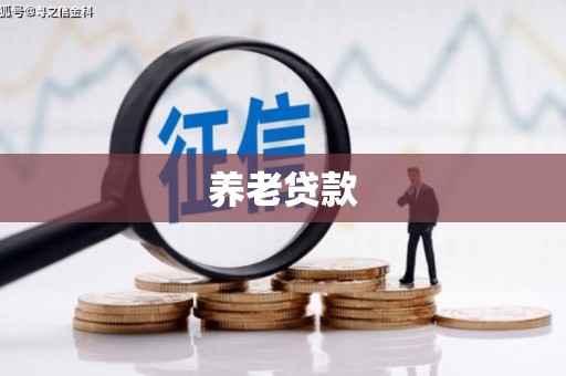 白玉养老贷款