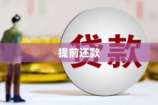 白玉提前还款