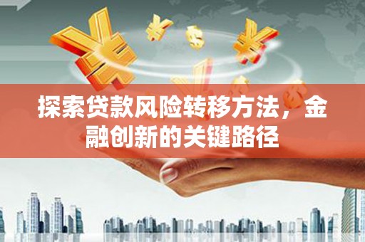 白玉探索贷款风险转移方法，金融创新的关键路径