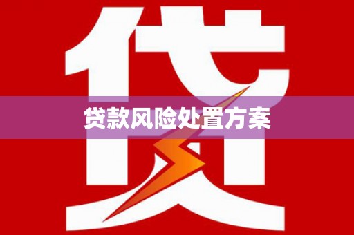 白玉贷款风险处置方案