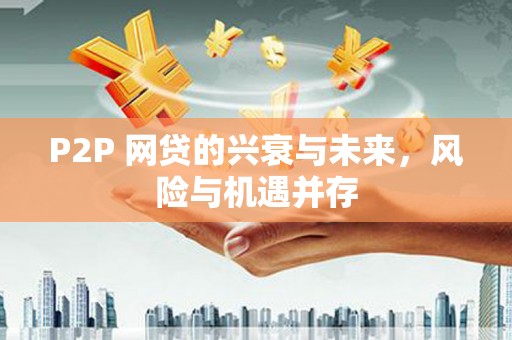 白玉P2P 网贷的兴衰与未来，风险与机遇并存