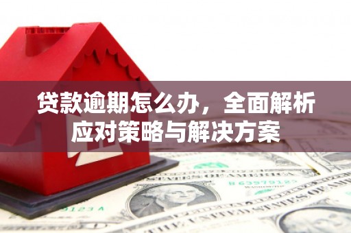 白玉贷款逾期怎么办，全面解析应对策略与解决方案