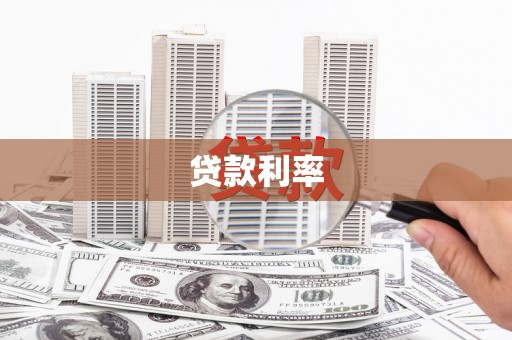 白玉贷款利率