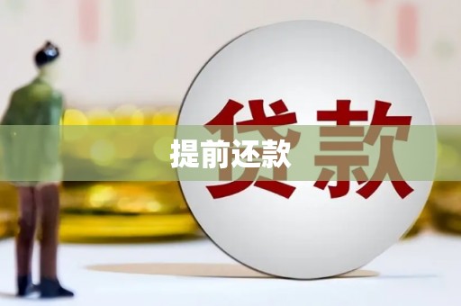 白玉提前还款