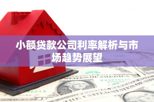 白玉小额贷款公司利率解析与市场趋势展望
