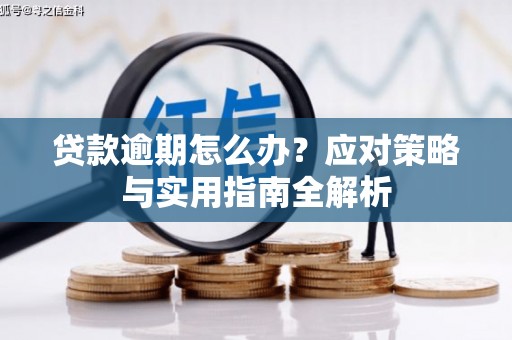 白玉贷款逾期怎么办？应对策略与实用指南全解析