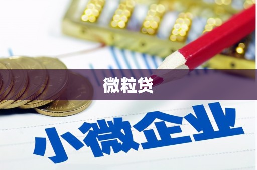 白玉微粒贷