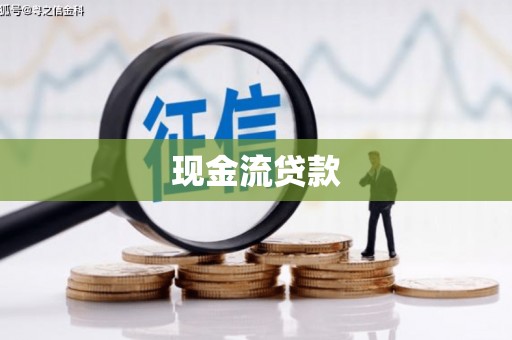 白玉现金流贷款