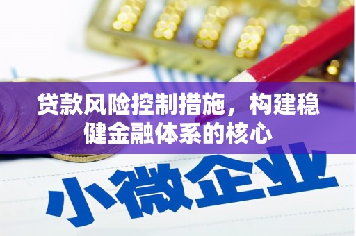 白玉贷款风险控制措施，构建稳健金融体系的核心