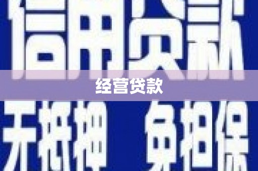 白玉经营贷款
