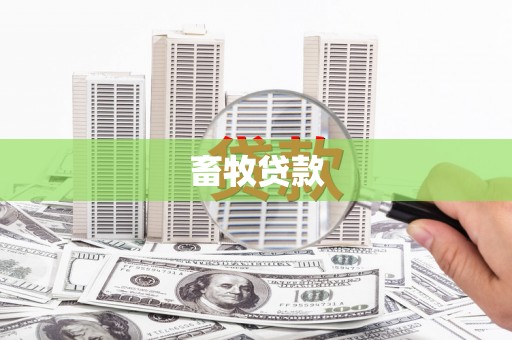 白玉畜牧贷款