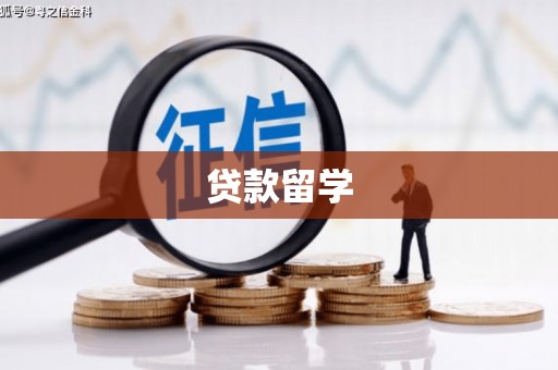 白玉贷款留学