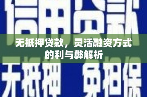 白玉无抵押贷款，灵活融资方式的利与弊解析