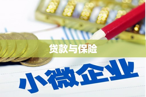 白玉贷款与保险