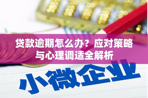 白玉贷款逾期怎么办？应对策略与心理调适全解析