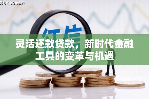 白玉灵活还款贷款，新时代金融工具的变革与机遇