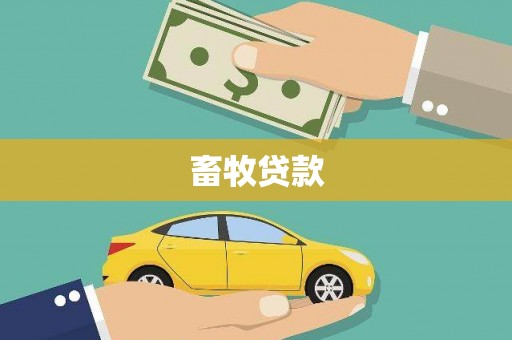 白玉畜牧贷款