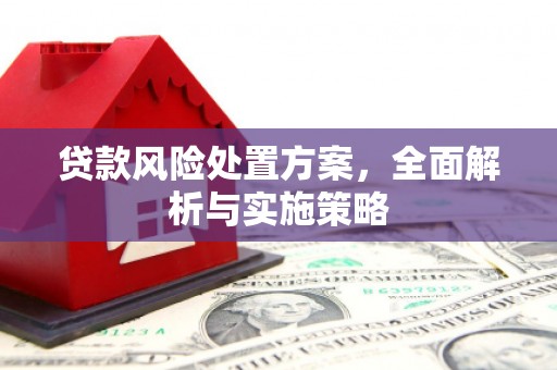 白玉贷款风险处置方案，全面解析与实施策略
